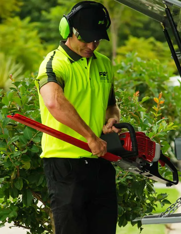 Brisbane gardens and landscaped outdoor spaces