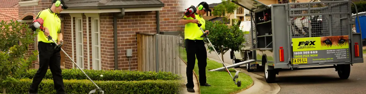 Fox Mowing QLD Lawn Drought Protection