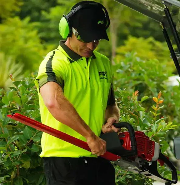 Local lawn care experts in Sunshine Coast
