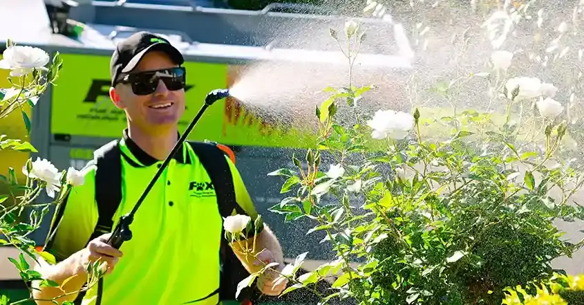 Fox Mowing lawn and garden services team