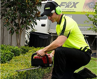 Fox Mowing QLD local gardening experts