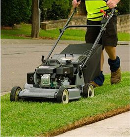 Lawn care services in QLD