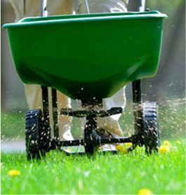 Lawn care services in QLD