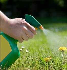 Lawn care services in QLD