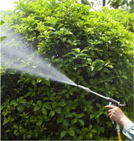 Lawn care services in QLD