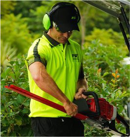 Lawn care services in QLD