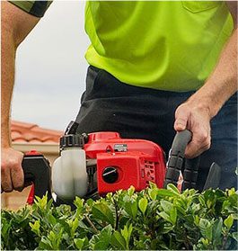 Lawn care services in QLD