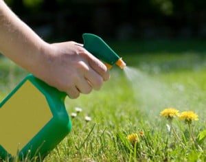 WEED CONTROL SERVICES