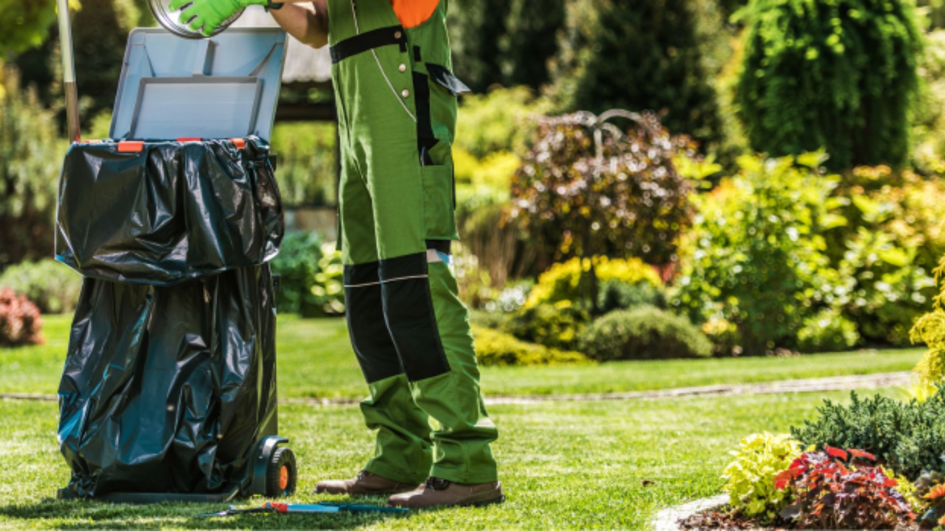 Waste Removal Tips