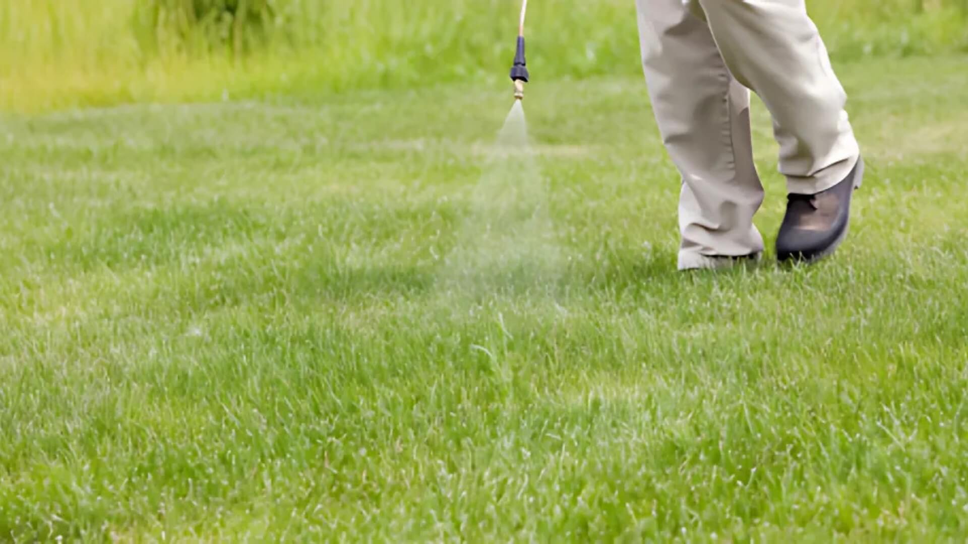 Healthier, Greener Yard