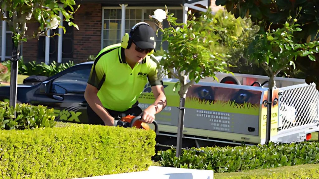 Preparing Your Garden for Property Transitions