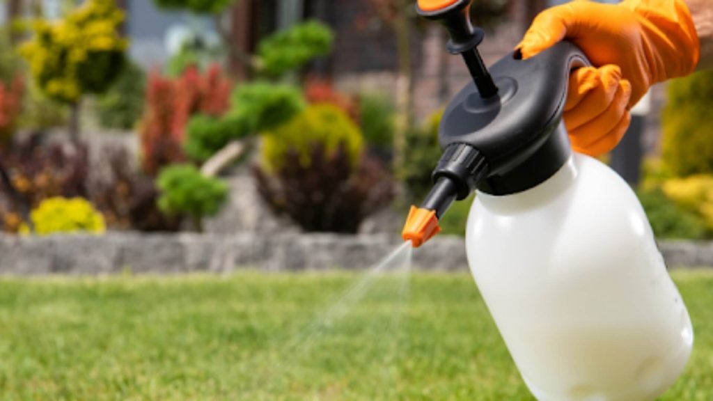 Weed control spray applied to green lawn