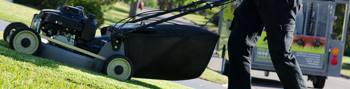 Fox Mowing QLD Lawn Mowing Services Brisbane