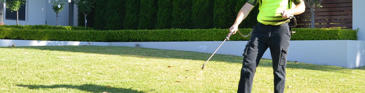 Fox Mowing QLD Lawn & Garden Weed Spraying Services in Brisbane, QLD