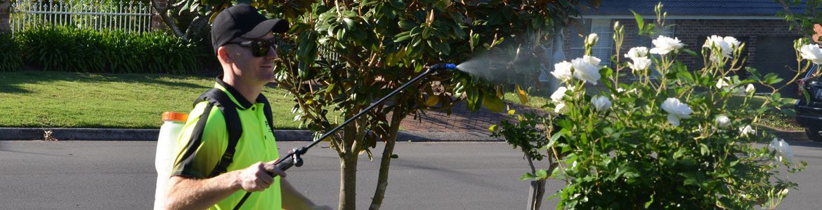 Fox Mowing QLD Lawn & Garden Bug Spraying Services in Brisbane, QLD