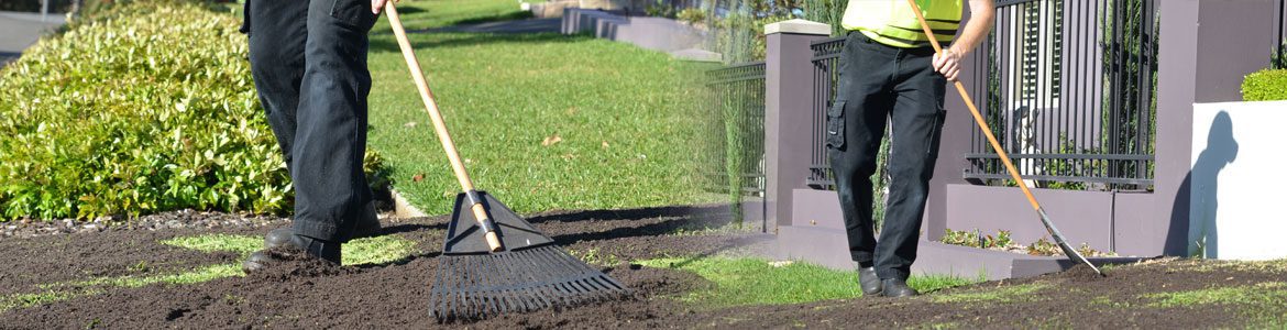 Fox Mowing QLD New Turf Laying Services in Brisbane, QLD