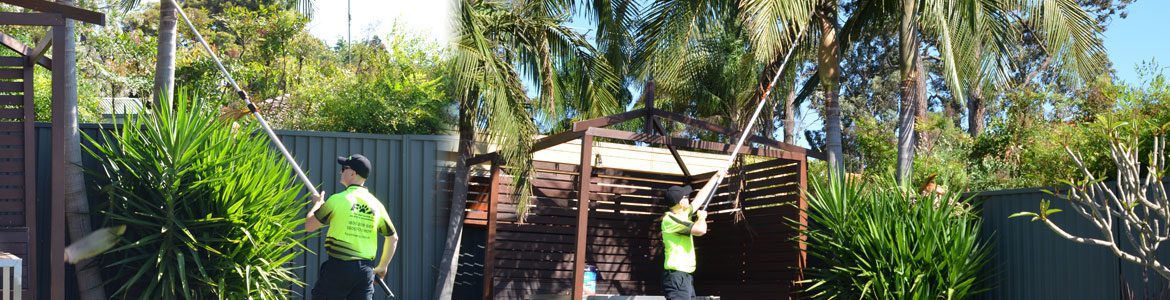 Fox Mowing QLD Tree Trimming Services in Brisbane, QLD
